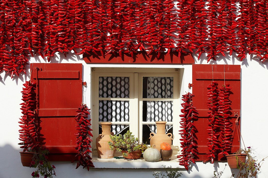 Espelette Peppers, Chilischoten zum Trocknen an den Hauswänden, Espelette, Aquitaine, Baskenland, Pyrenees Atlantiques, 64, Frankreich.