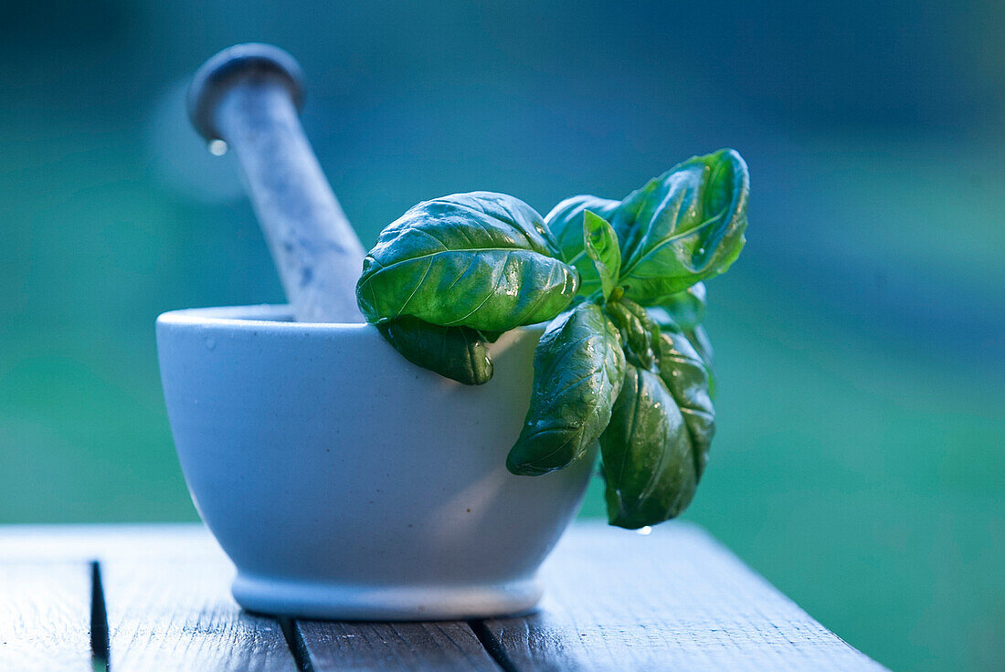 Mortar and pestle with basil leaves