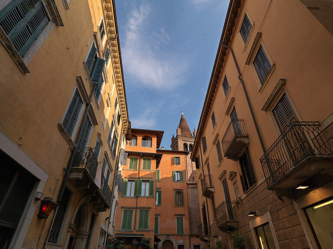 Residential buildings in old town, Verona, Veneto, Italien