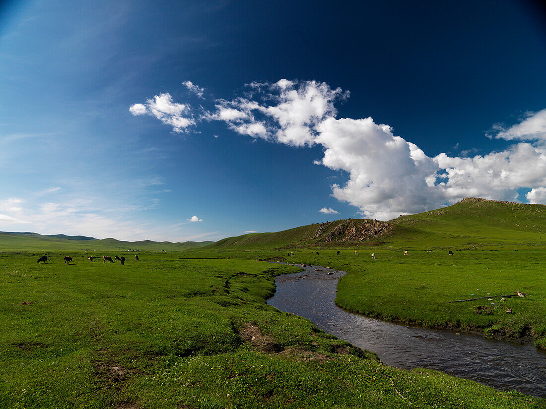 Scenery with river, Gorkhi-Terelj National Park, Toev, Mongolia