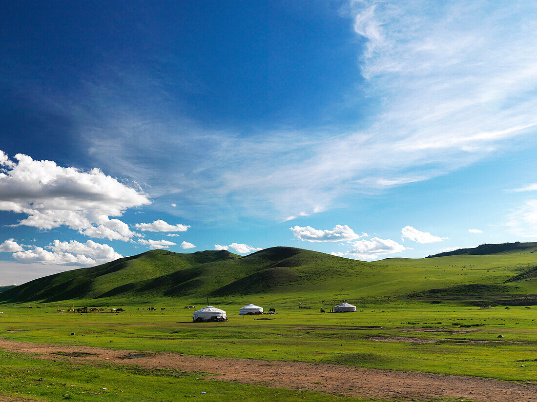 Jurten in Tundralandschaft, nahe Darkhan, Mongolei