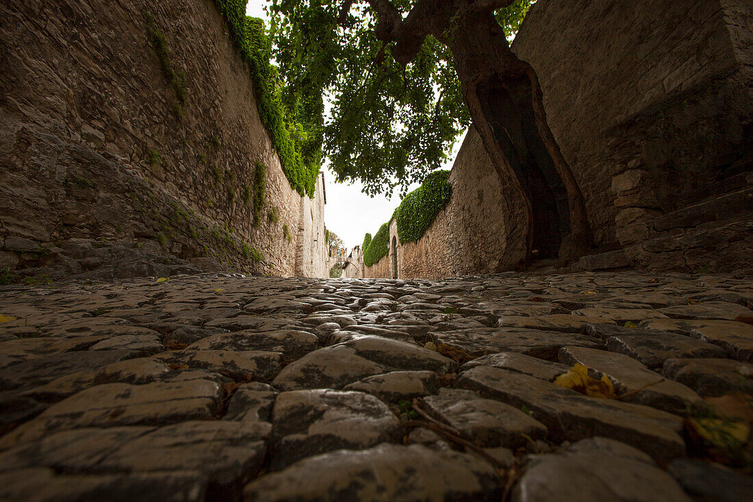 Cobble-stone pavement, Punta San Vigilio, Lake Garda, Verona, Veneto, Italy