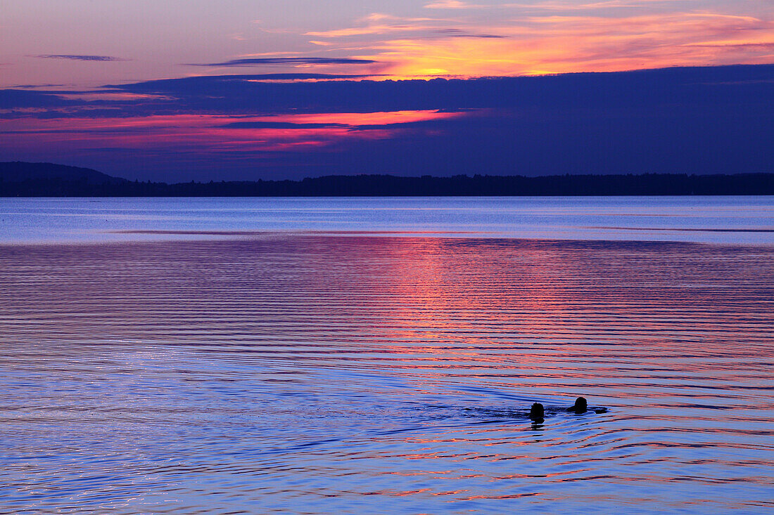 Two persons swimming in lake Chiemsee, Chieming, Bavaria, Germany