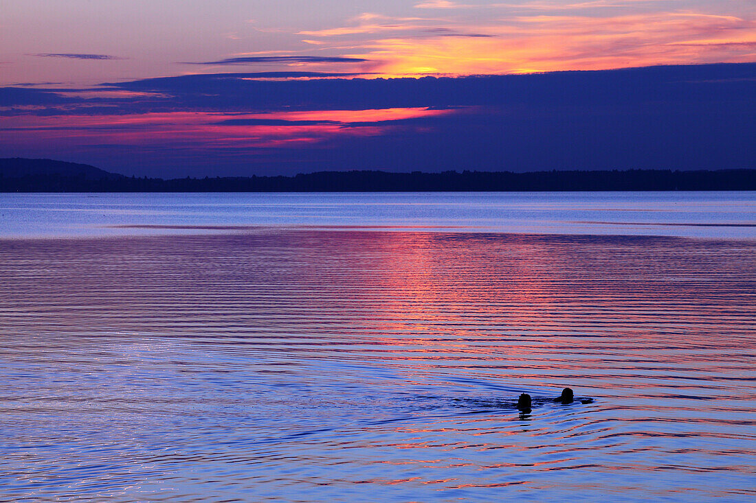 Zwei Schwimmer im Chiemsee, Chieming, Bayern, Deutschland