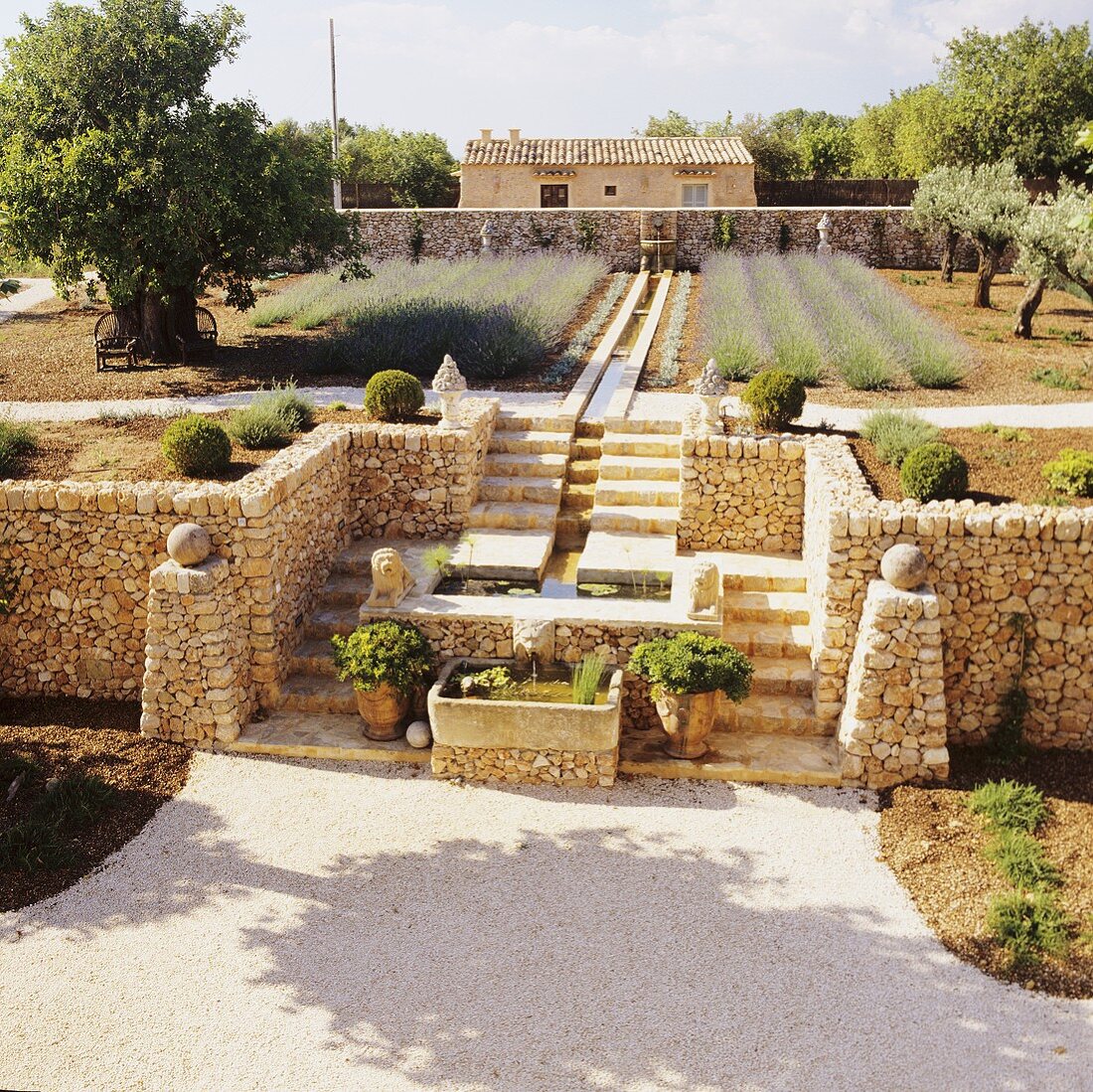 A flight of steps with natural stone wall in a Mediterranean terrace garden