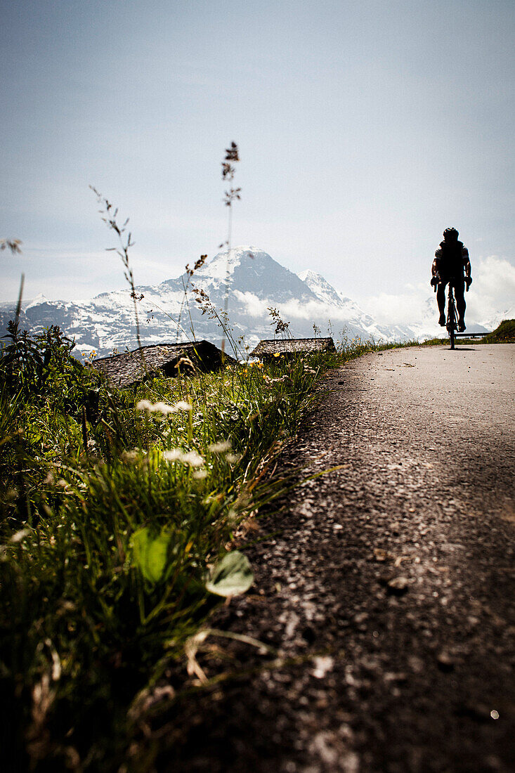 Cyclist on mountain pass, Eiger and Moench in the background, Bussalp, Bernese Oberland, Switzerland