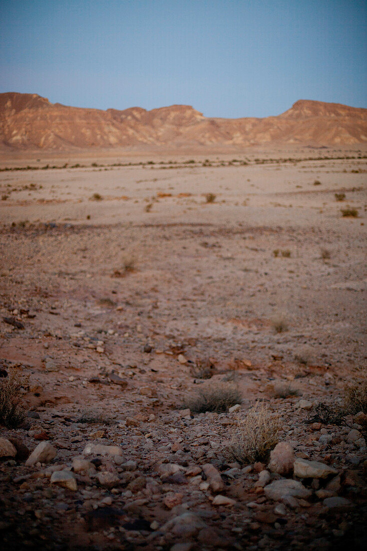 Evening in the desert, Crater rim in the background, Machtesch Ramon, Negev Desert, Israel