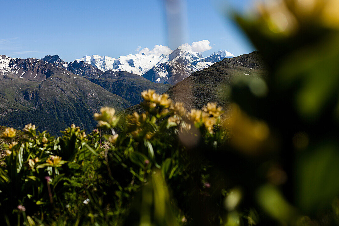Blick auf Biancograt und Piz Bernina (4048 m), Val d'Es-cha, Oberengadin, Schweiz