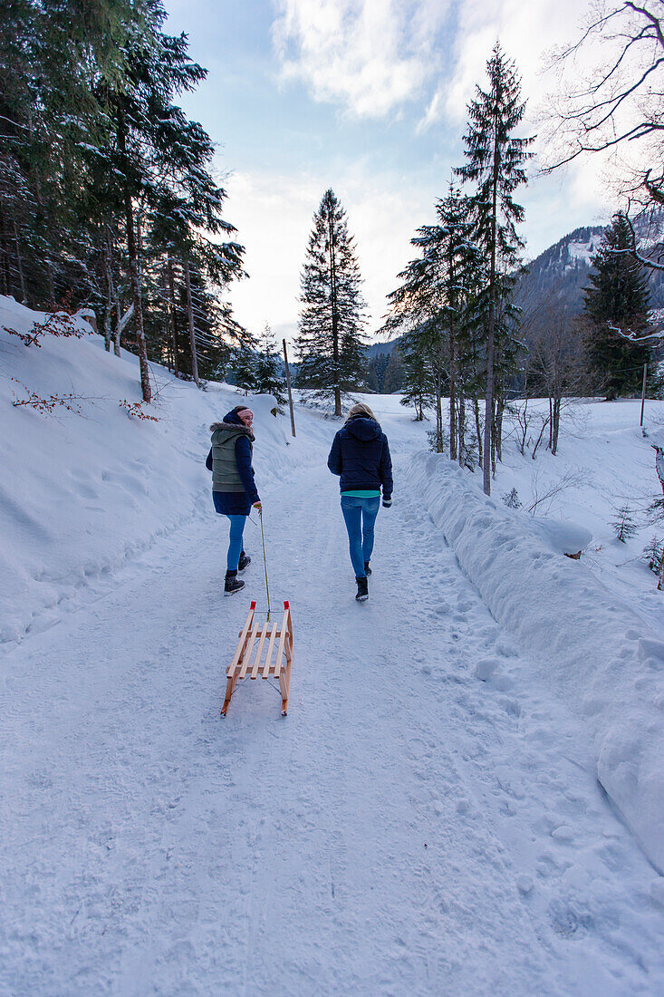 Zwei Frauen mit einem Schlitten, Spitzingsee, Oberbayern, Bayern, Deutschland