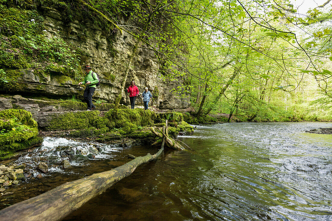 Wutachschlucht, near Bonndorf, Black Forest, Baden-Würtemberg, Germany