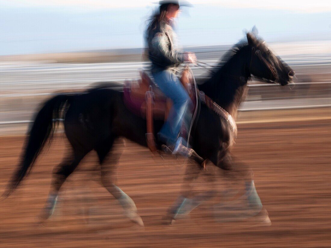 Rodeo competitors warm up their horses at the Tucson Rodeo in Tucson, Arizona, United States