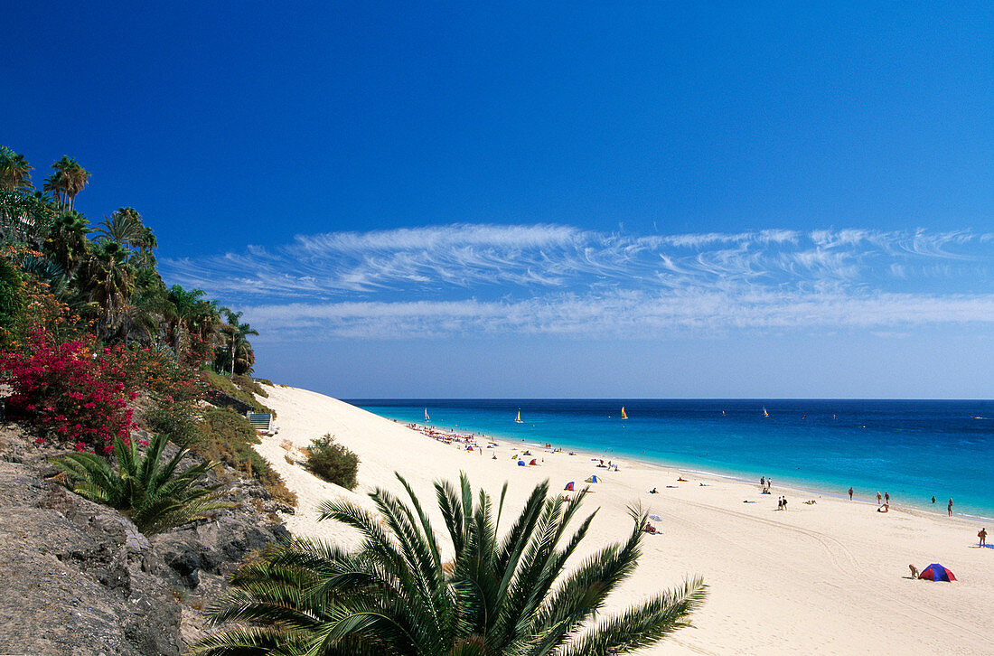 Beach, Seashore, Morro Jable, Fuerteventura, Canary islands, isles, Spain