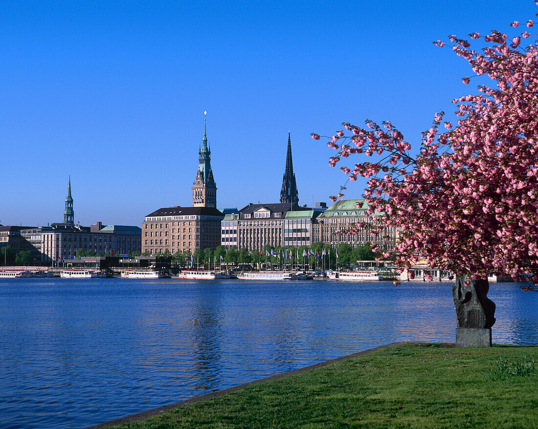 Hamburg, Germany, lake, Binnenalster, Inner Alster, city, spring, cherry blossom, blossom, church, spires, EU, Europe, European, nobody