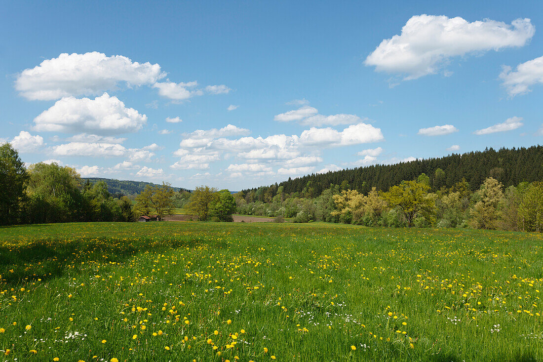 Loisach valley in spring near Beuerberg, Eurasburg, Landkreis Bad Toelz - Wolfratshausen, Upper Bavaria, Bavaria, Germany, Europe