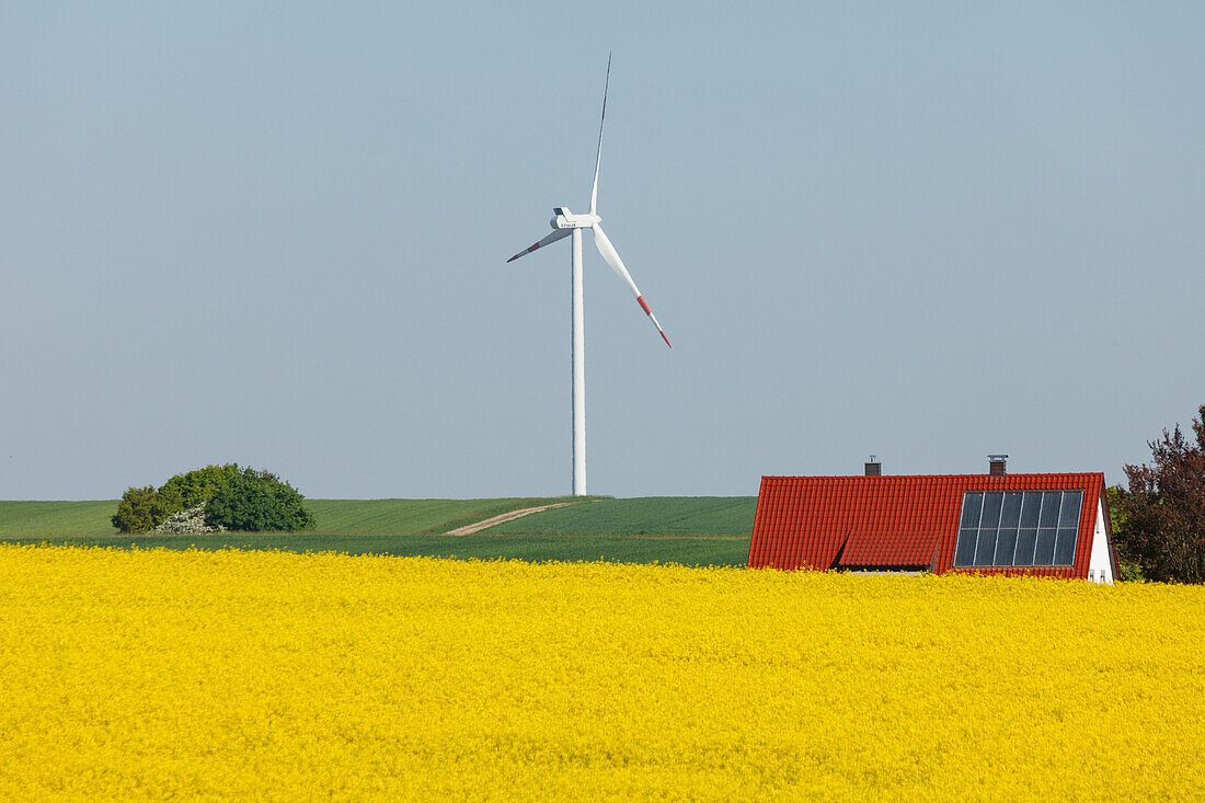 Wind turbines, house with solar cells, photovoltaic cells, rapeseed field, bio-energy, renewable energy, near Gunzenhausen, Mittelfranken, Lower Franconia, Franconia, Bavaria, Germany, Europe