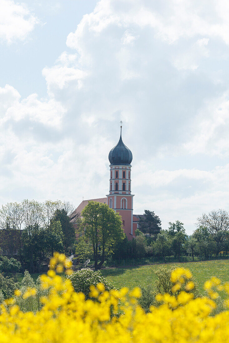 Church with onion shaped tower, rapeseed field, Spielberg near Gunzenhausen, Mittelfranken, Lower Franconia, Franconia, Bavaria, Germany, Europe