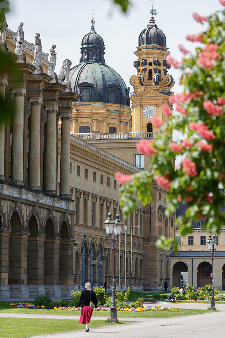 Theatine Church of St. Cajetan from Hofgarten behind the royal Residence, chestnut blossom, 17th century, Italian Baroque style, architects Agostino Barelli and Enrico Zuccalli, Munich, Upper Bavaria, Bavaria, Germany, Europe