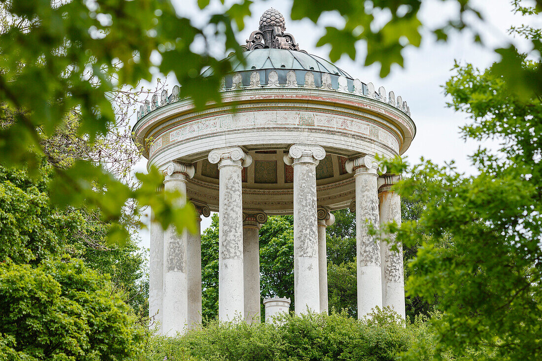 Monopteros, Greek style temple, architect Leo von Klenze, English Garden, Munich, Upper Bavaria, Bavaria, Germany, Europe