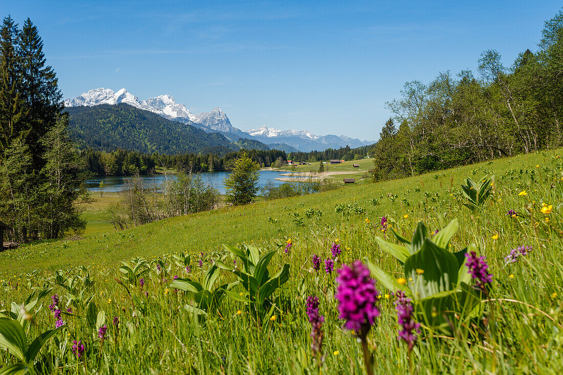 Geroldsee bei Mittenwald im Frühling, Wettersteingebirge, Alpspitze, Zugspitze, Waxenstein, Berge, Werdenfelser Land, Bayerische Alpen, Oberbayern, Bayern, Deutschland, Europa