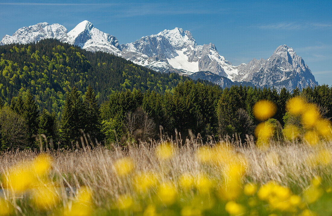 Geroldsee, lake near Mittenwald in Spring, Wetterstein mountains in the background, Alpspitze, Zugspitze, Waxenstein, Werdenfelser Land, Baverian Alps, Upper Baveria, Bavaria, Germany, Europe