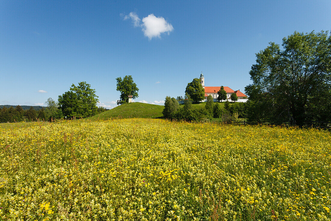 Reutberg Abbey near Sachsenkamm in Spring, Capuchin monastery, 17. Jhd., flowering meadow, Landkreis Bad Toelz- Wolfratshausen, Upper Bavaria, Bavaria, Germany, Europe