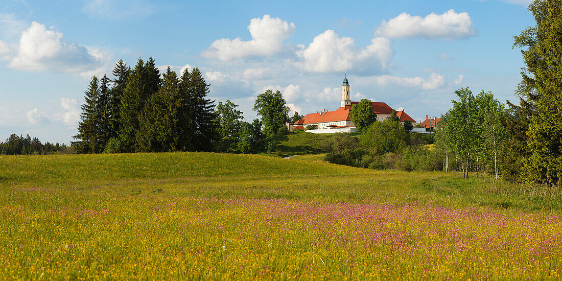 Reutberg Abbey near Sachsenkamm in Spring, Capuchin monastery, 17. Jhd., flowering meadow, Landkreis Bad Toelz- Wolfratshausen, Upper Bavaria, Bavaria, Germany, Europe