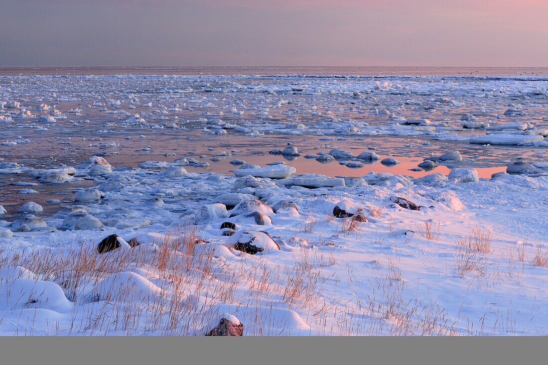 Hudson Bay shoreline in early winter