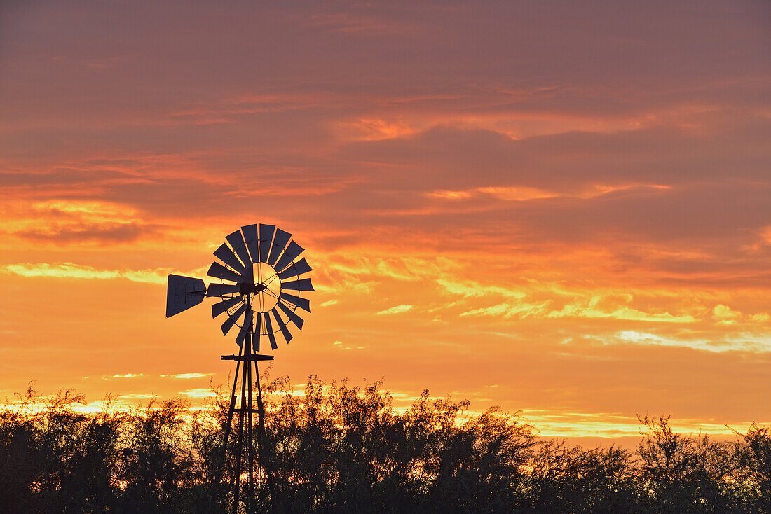 Water pumping windmill at dawn on Campos Viejos Ranch, Rio Grande City, Texas, USA.
