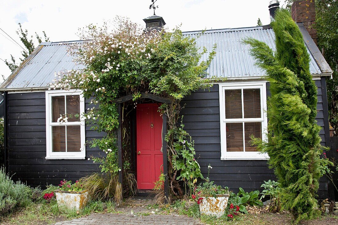 Old cottage with roses over doorway, Waikari, North Canterbury, New Zealand