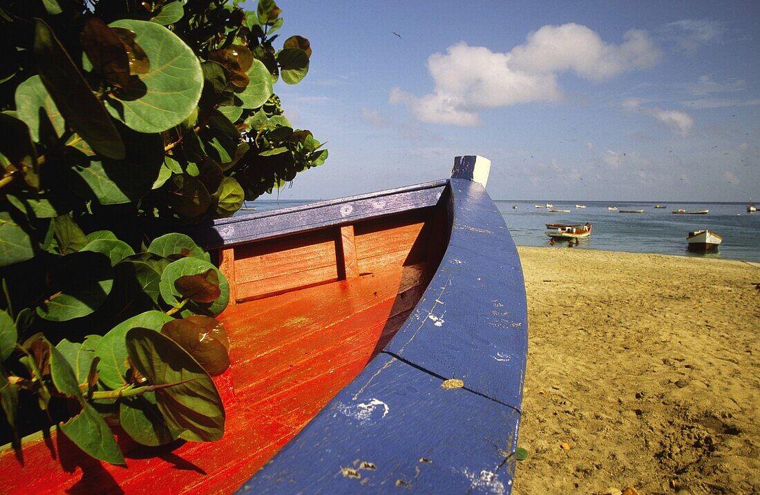 Playa Manzanillo, Isla Margarita, Bundesstaat Nueva Esparta, Venezuela