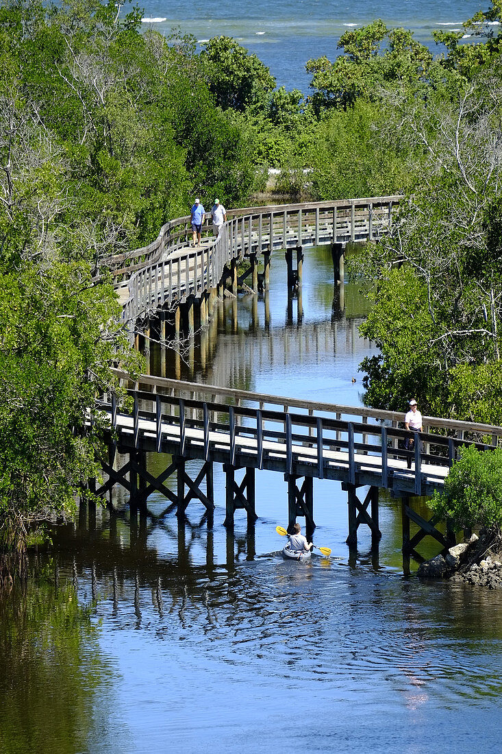 Walking Trail Boardwalk Robinson Preserve Nature Bradenton Florida FL US USA.