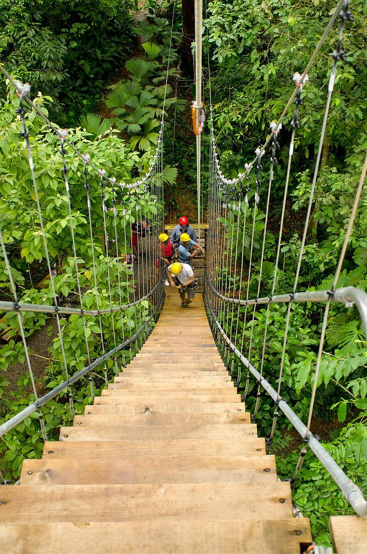 People starting a canopy tour at a wooden hanging ladder  Bastimentos Sky canopy center, Bocas del Toro, Panama, Central America