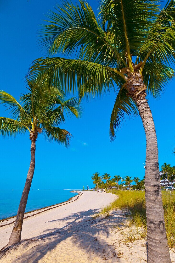 Smathers Beach, Key West, Florida Keys, Florida USA