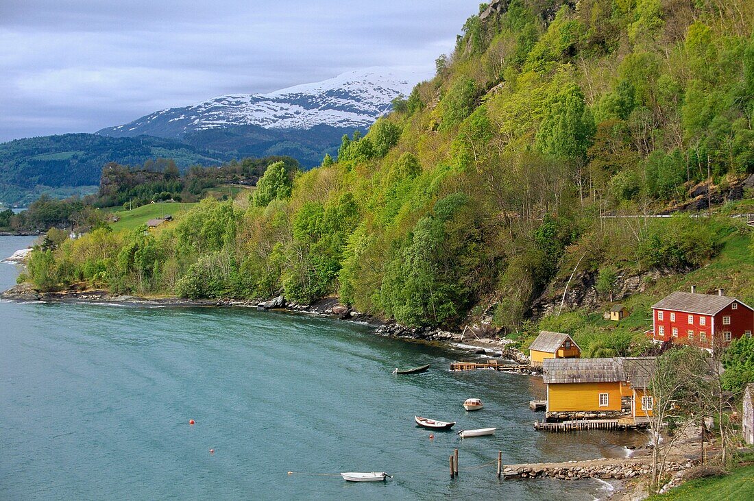 Hardangerfjord, Norway