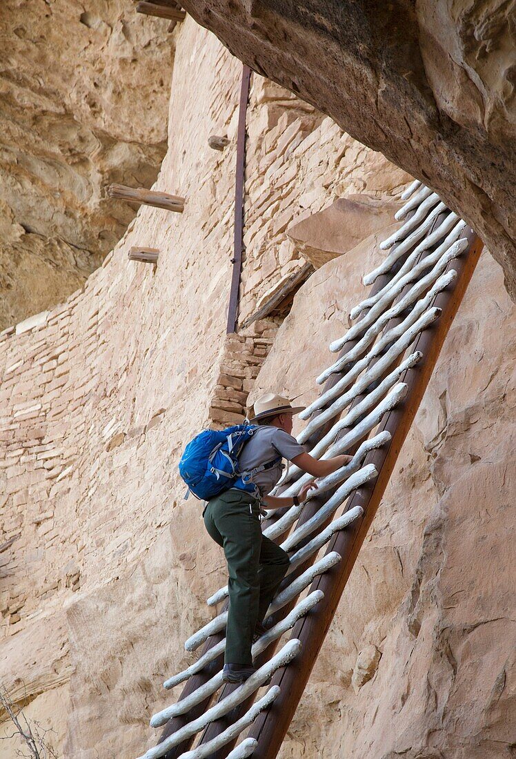 Cortez, Colorado - A park ranger climbs a ladder to enter the Balcony House cliff dwelling at Mesa Verde National Park  The park features cliff dwellings of ancestral Puebloans that are nearly a thousand years old