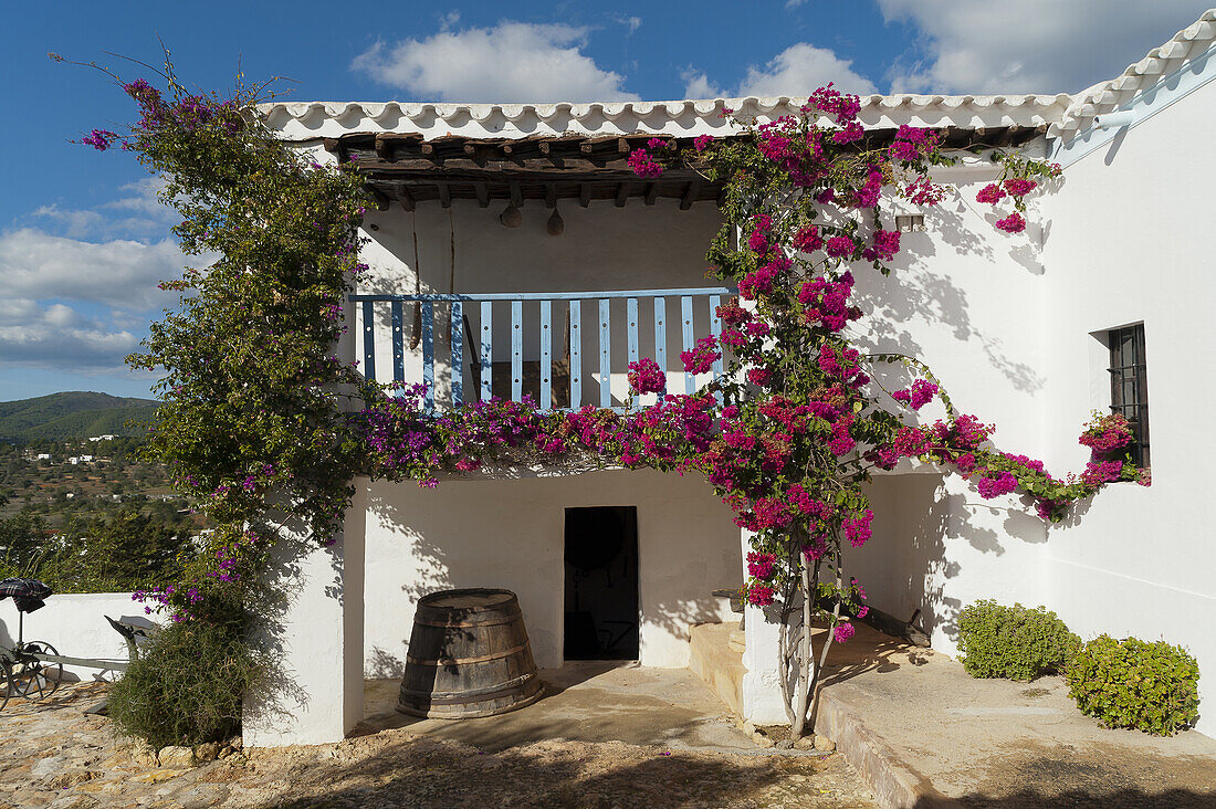 Traditional Payesa house, Ibiza, Balearic Islands, Spain, Mediterranean, Europe.