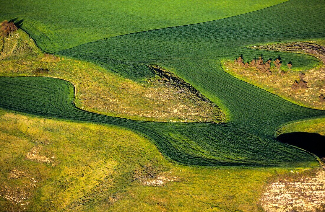 Farmlands, Bureba Region in the Way of Saint James, Burgos province, Castile-Leon, Spain.