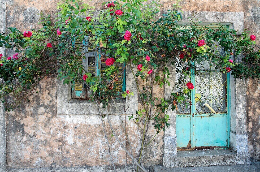 House with Roses, Krini, Corfu