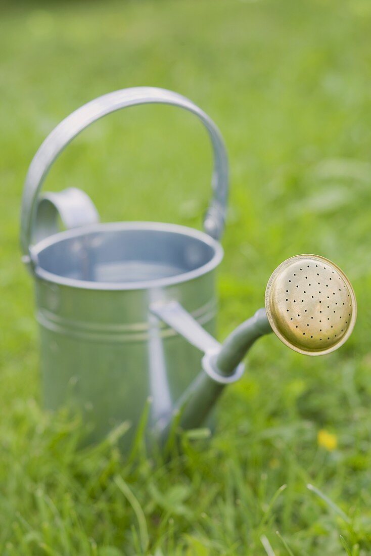 Watering can on the grass