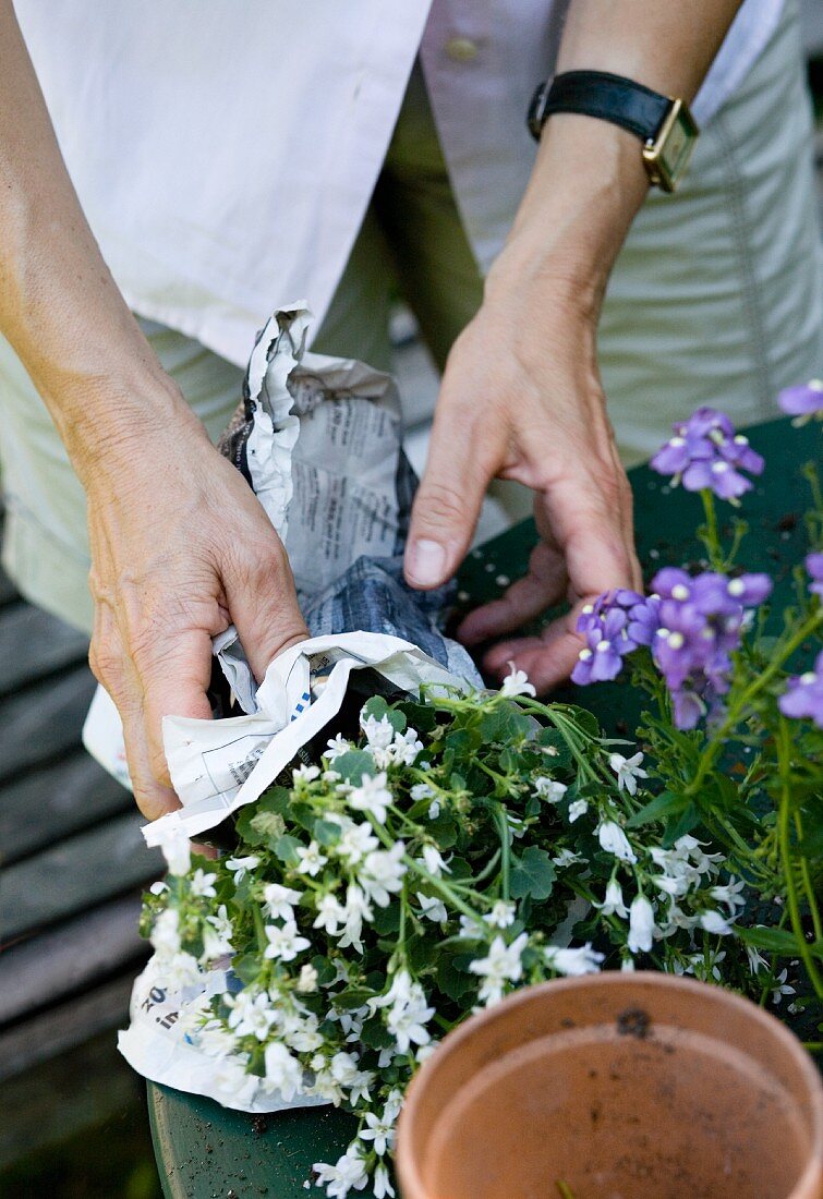 A woman gardening