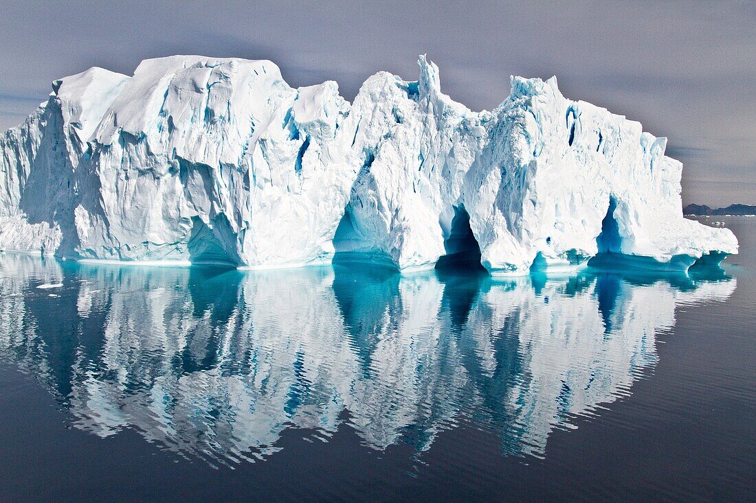 Iceberg in the Weddell Sea on the eastern side of the Antarctic Peninsula during the summer months, Southern Ocean  MORE INFO An increasing number of icebergs are being created as climate change is causing the breakup of major ice shelves and glaciers all