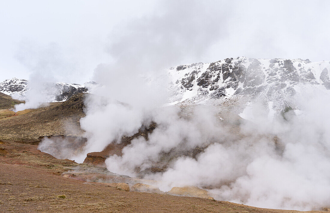 The geothermal area near Hveragerdi during winter. europe, northern europe, scandinavia, iceland, March.