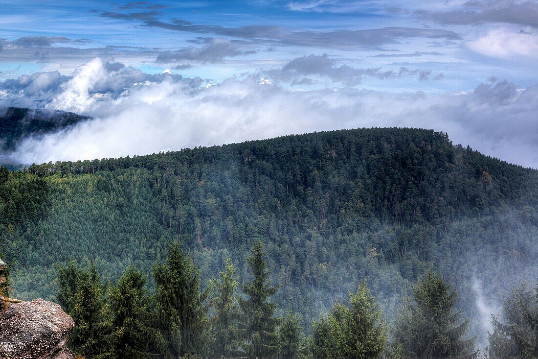 View from Mont Sainte-Odile, Vosges Mountains, Alsace, France