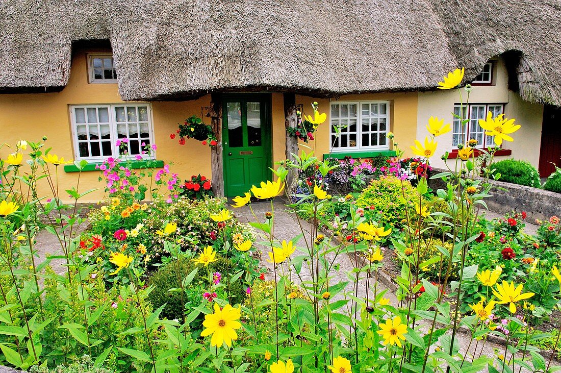 Picturesque traditional thatched cottage with garden summer flowers in town of Adare, County Limerick, Ireland