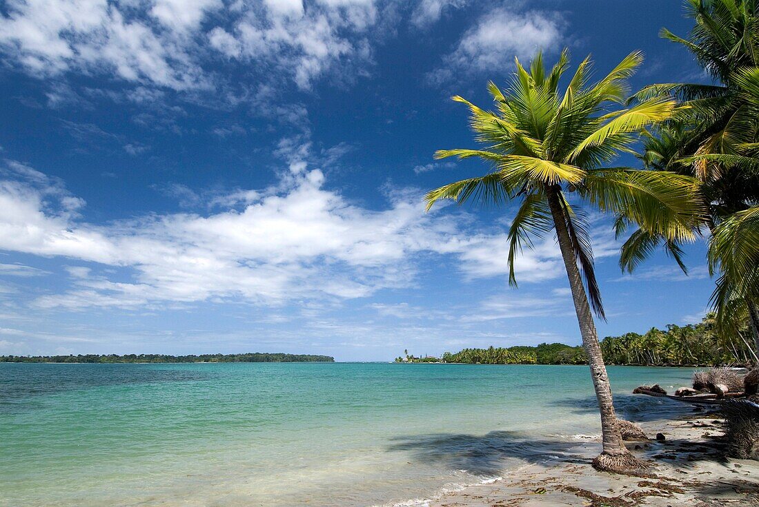 Bocas del Drago, Isla Colon, Bocas del Toro, Panama