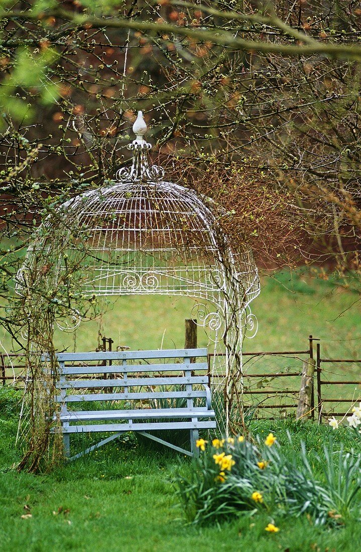 Wooden bench seat under an ornate wrought iron canopy with climbing plants