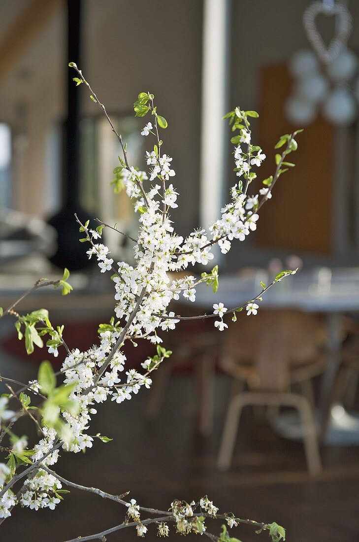 White flowers