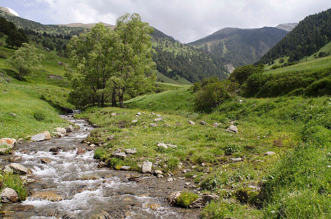 Tor Valley is located at the LAlt Pirineu Nature Park  Lleida  Catalonia, Spain
