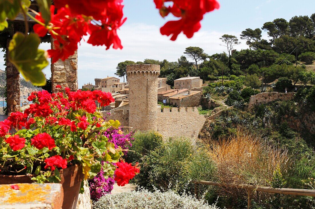 Vila Vella Ramparts, Tossa de Mar, Costa Brava, Catalonia, Spain, Europe