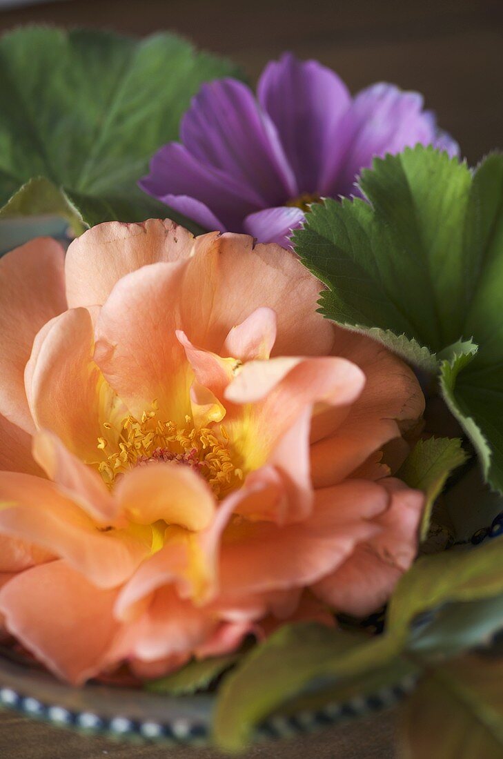 Flower decoration in bowl